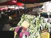 Markets of Catania