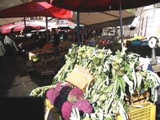 Markets of Catania