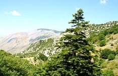 Madonie Park