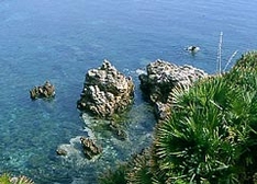 Zingaro