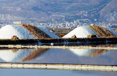 Trapani