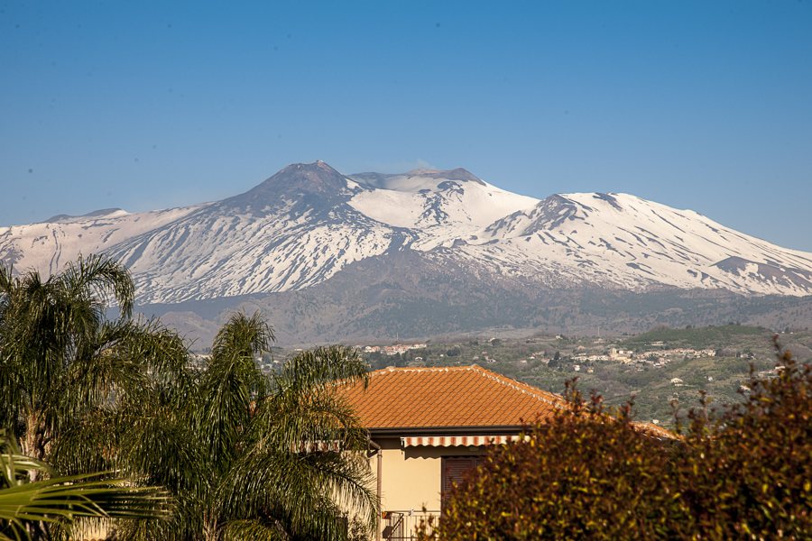 Snow-covered Mount Etna above Sicilian homes and palm trees